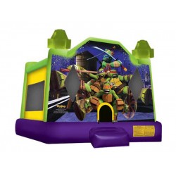 Indoor Bounce House Indoor Bounce House
