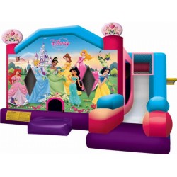Disney Princess Combo Slide