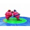Sumo Wrestling Suits With Mat
