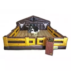 Deluxe Mechanical Bull