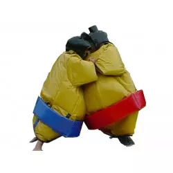Sumo Wrestling Suits