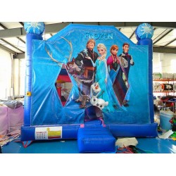 Frozen Bounce House Slide Combo
