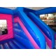 Frozen Bounce House Slide Combo Frozen Bounce House Slide Combo