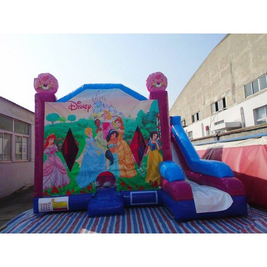 Disney Princess Combo Slide Disney Princess Combo Slide