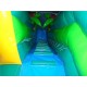 Tropical Water Slide