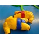 Sumo Suits Sumo Suits