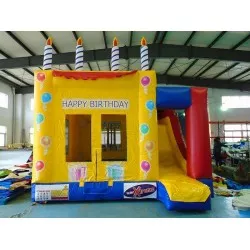 Birthday Party Jumpers